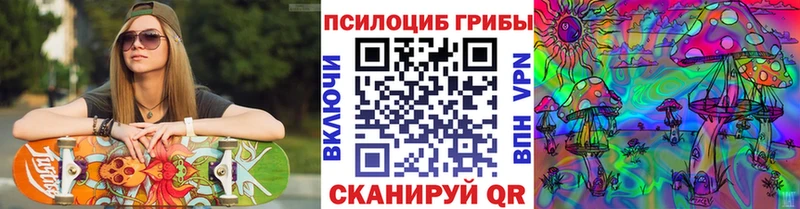 сколько стоит  Порхов  Галлюциногенные грибы Psilocybine cubensis 