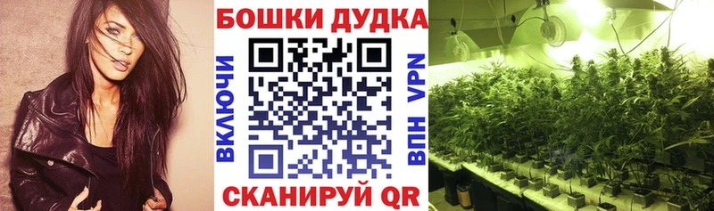 где купить наркоту  Порхов  Шишки марихуана тримм 